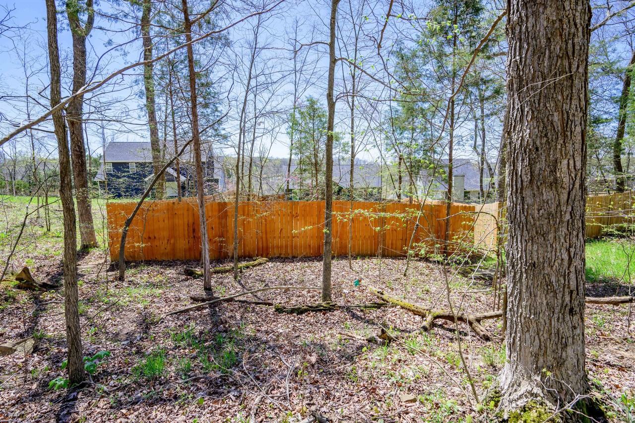 299 Hampton Rd #1 - Photo 5 of 47