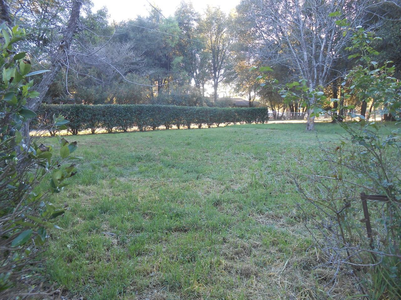 19572 Dovie Ln - Photo 2 of 7