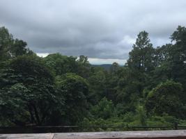 featured image of 51 Redwood Lodge Ln