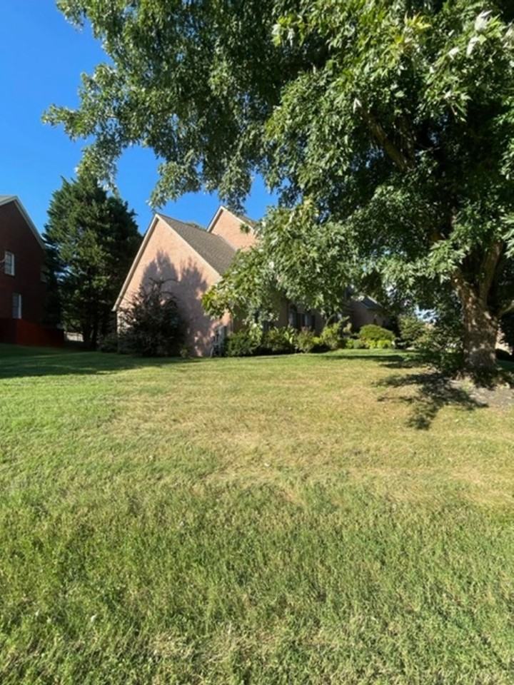 12023 Willingham Dr - Photo 2 of 50