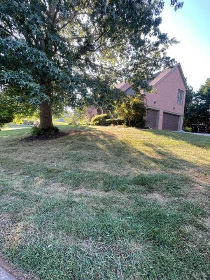 12023 Willingham Dr - Photo 3 of 50