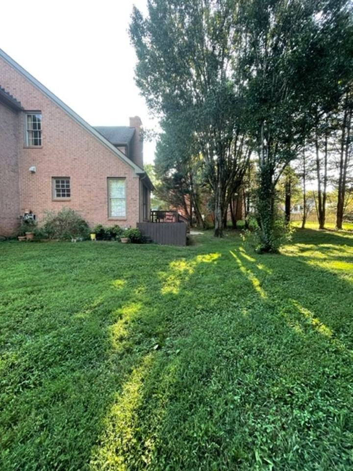 12023 Willingham Dr - Photo 6 of 50