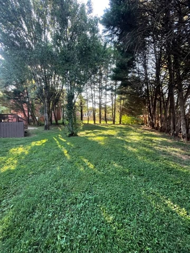 12023 Willingham Dr - Photo 7 of 50