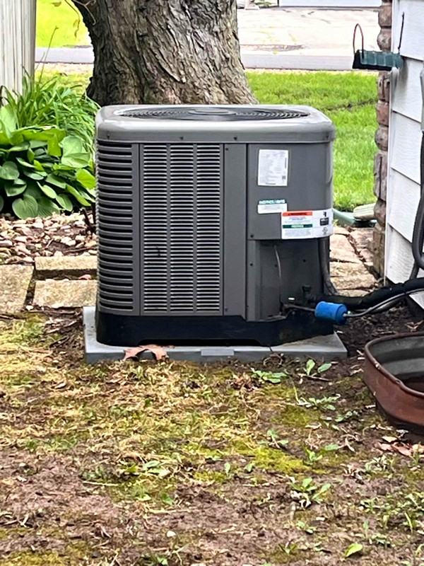 332 Langley Rd - Photo 3 of 12