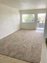 Maple Street: 310 - Photo 1 of 1