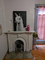 featured image of 524 Jefferson St