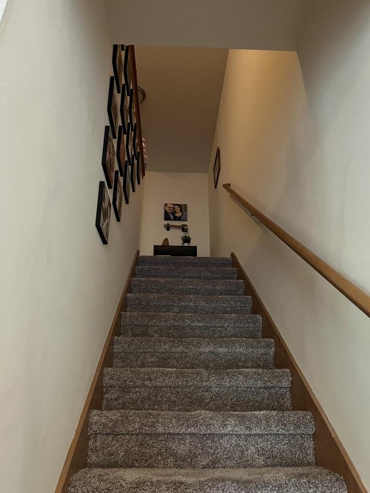 Alena Townhomes - Photo 6 of 19