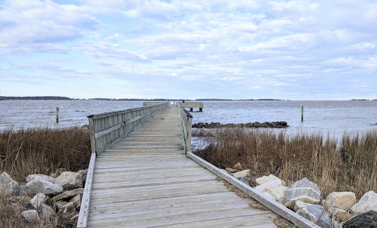 30161 Holts Landing Rd - Photo 2 of 6