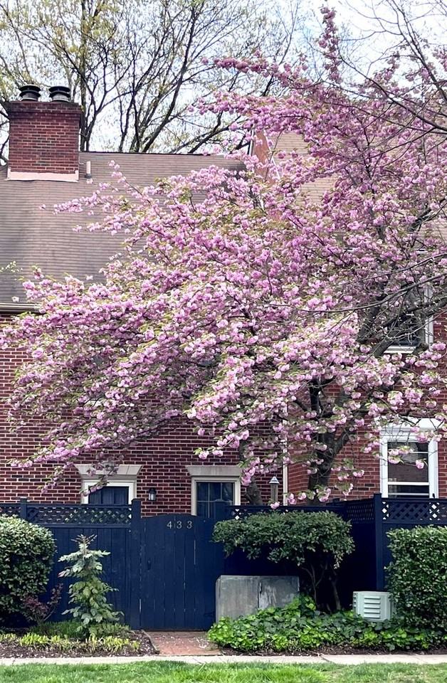 433 Old Town Ct - Photo 2 of 36