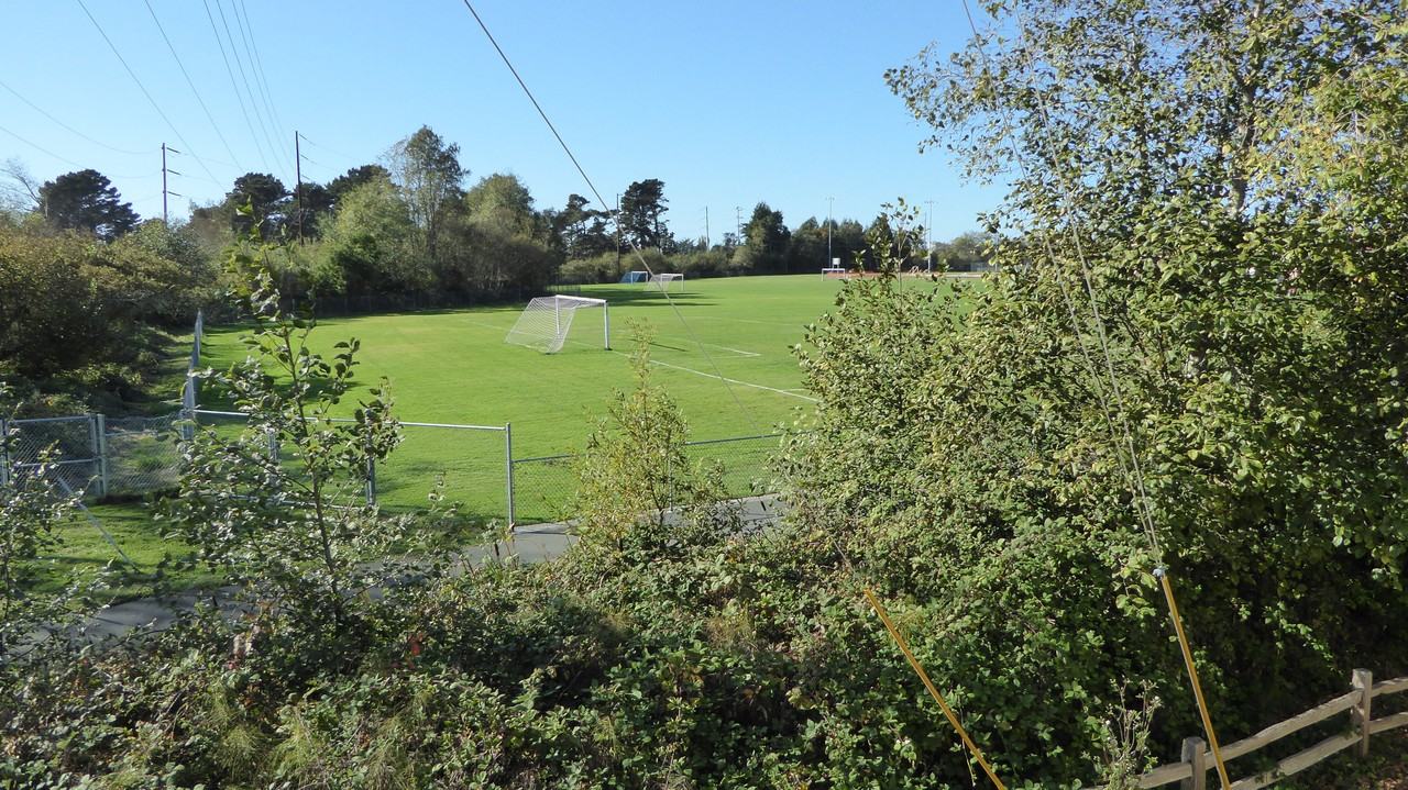 325 Union St #1F - Photo 6 of 10