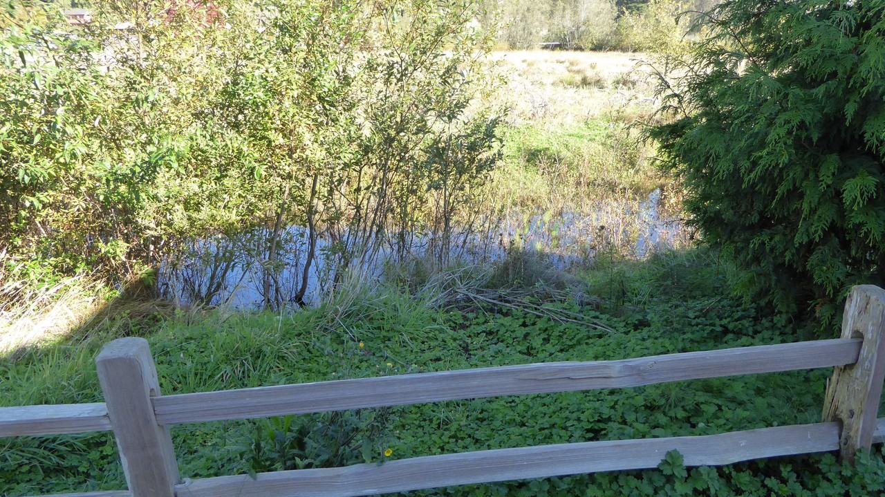 325 Union St #1F - Photo 7 of 10