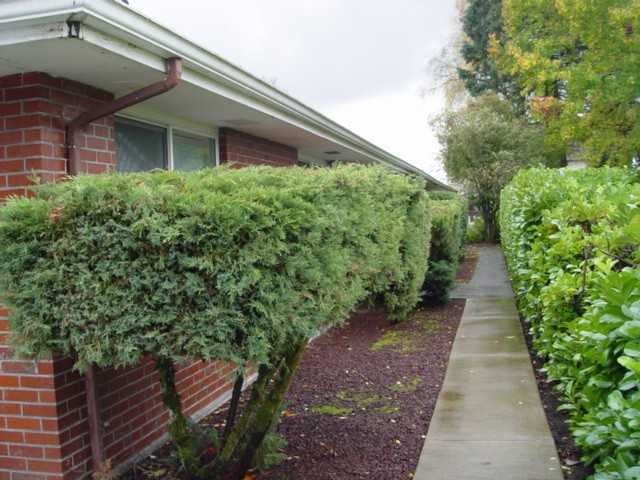 17 Ne 5th St #6 - Photo 2 of 8