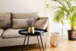 1920 Ivy Creek Blvd - Photo 1 of 1