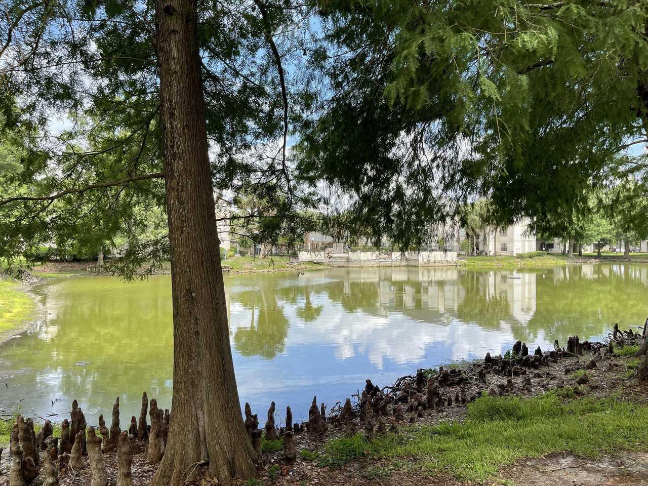 1916 Lake Atriums Cir #33 - Photo 2 of 22