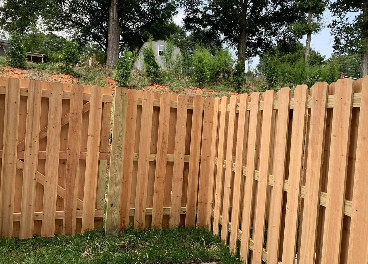 829 Silver Leaf Dr #1 - Photo 4 of 13