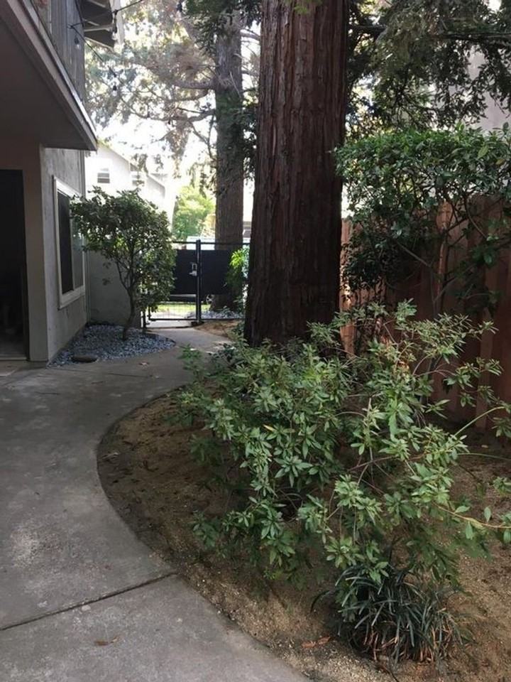 2819 E St #1 - Photo 6 of 8