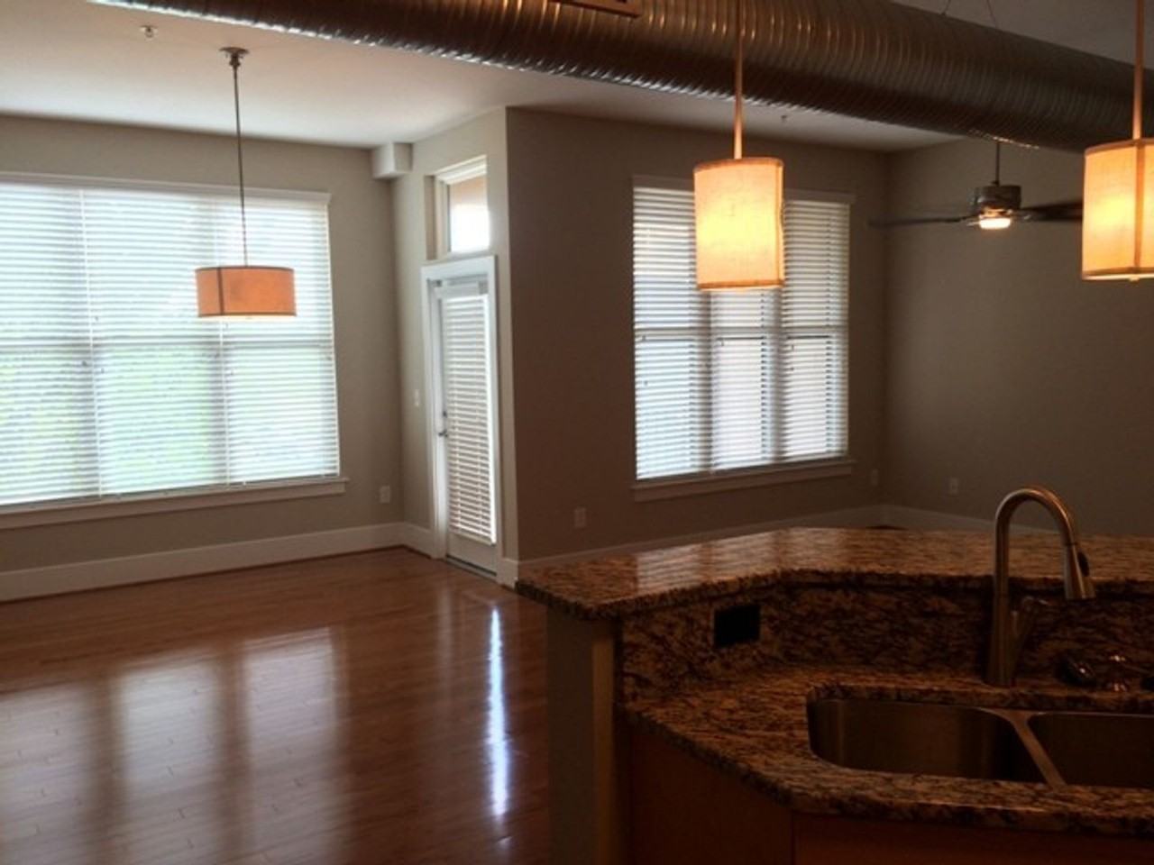 300 Finsbury St #207 - Photo 4 of 21