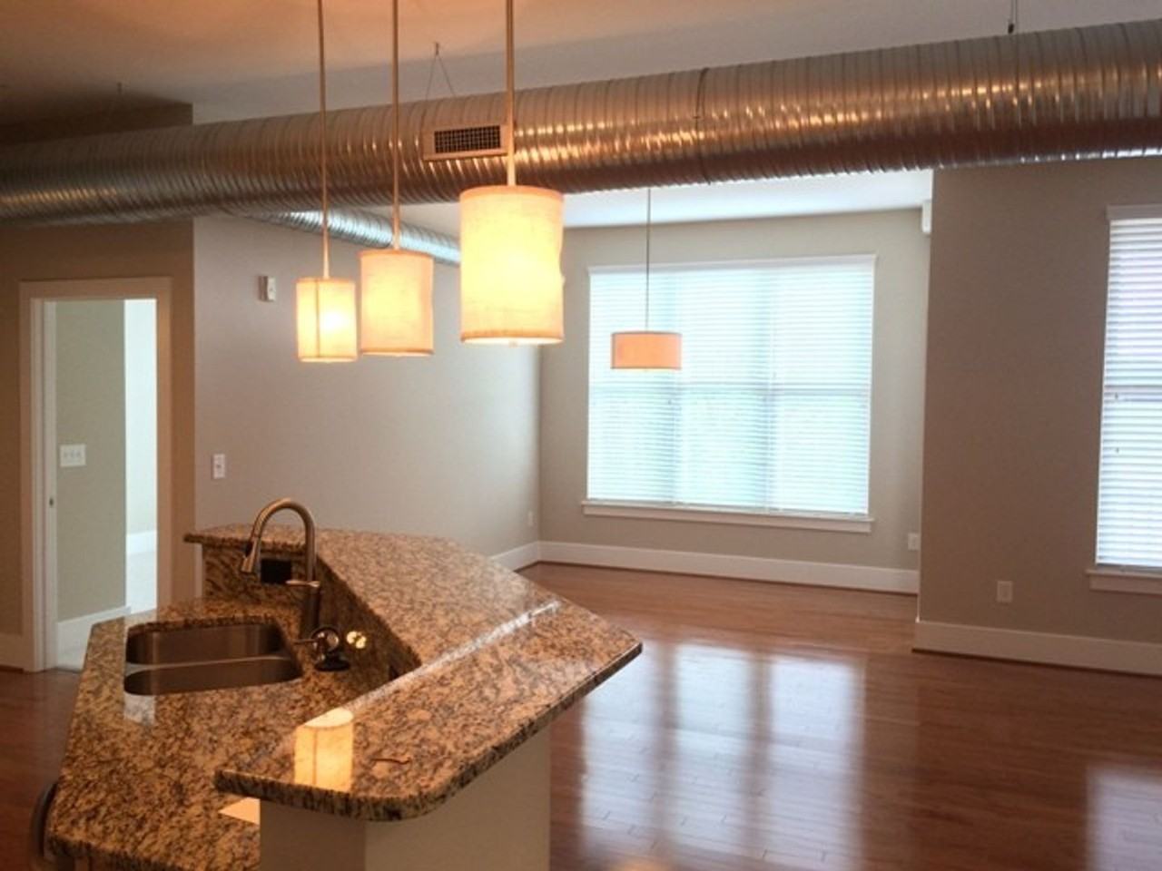 300 Finsbury St #207 - Photo 5 of 21