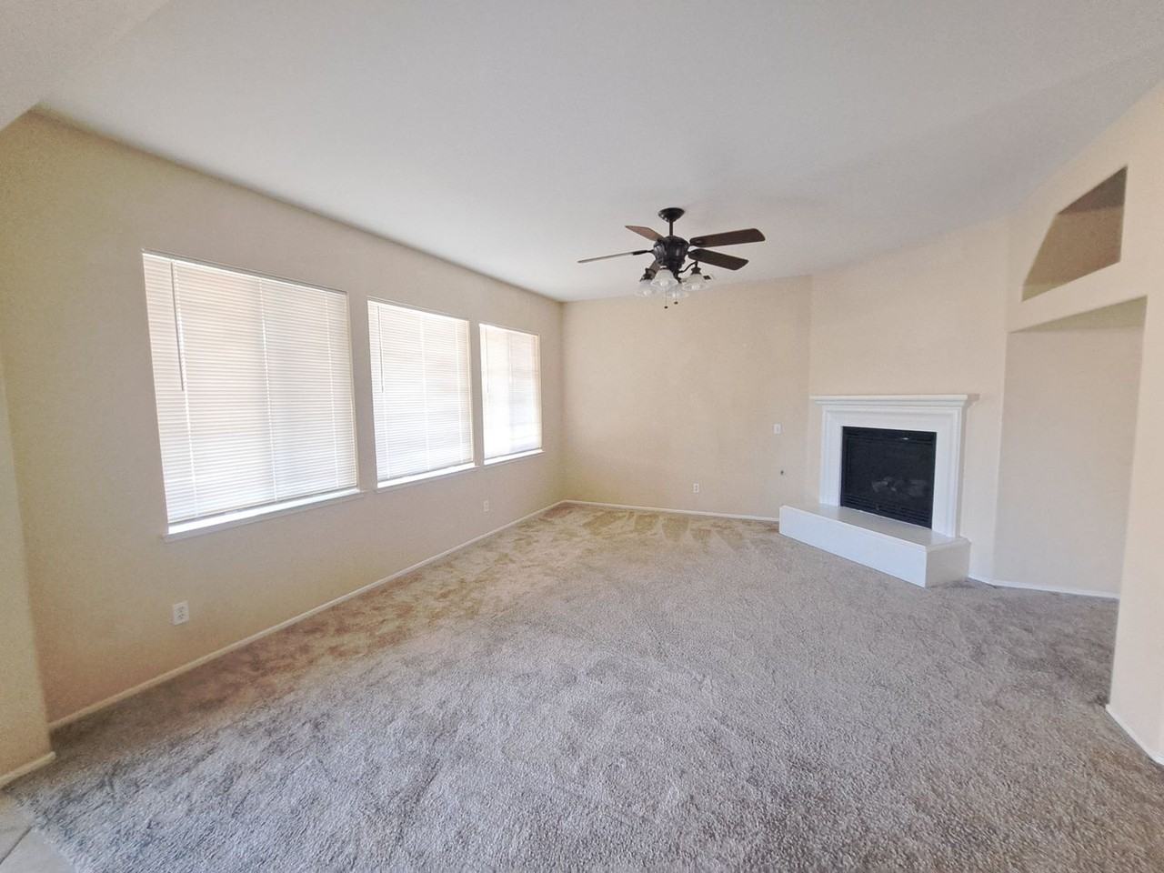 33780 Salvia Ln - Photo 3 of 19