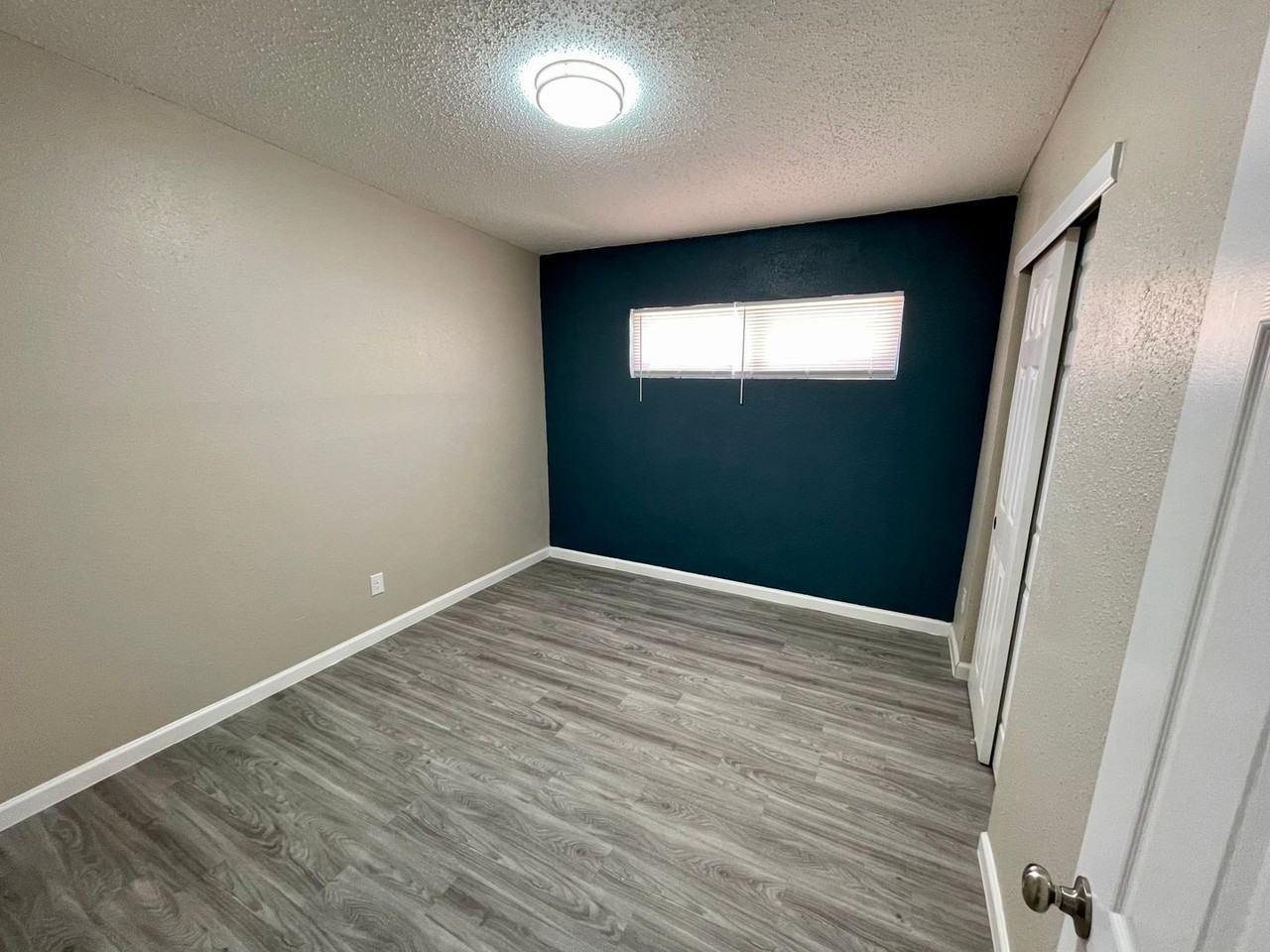 8828 Mount Elbert Dr - Photo 3 of 11