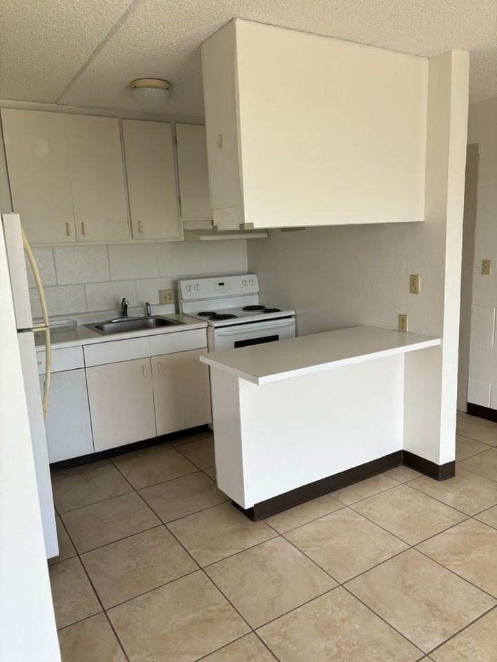 *OAHU9357 - Photo 3 of 8