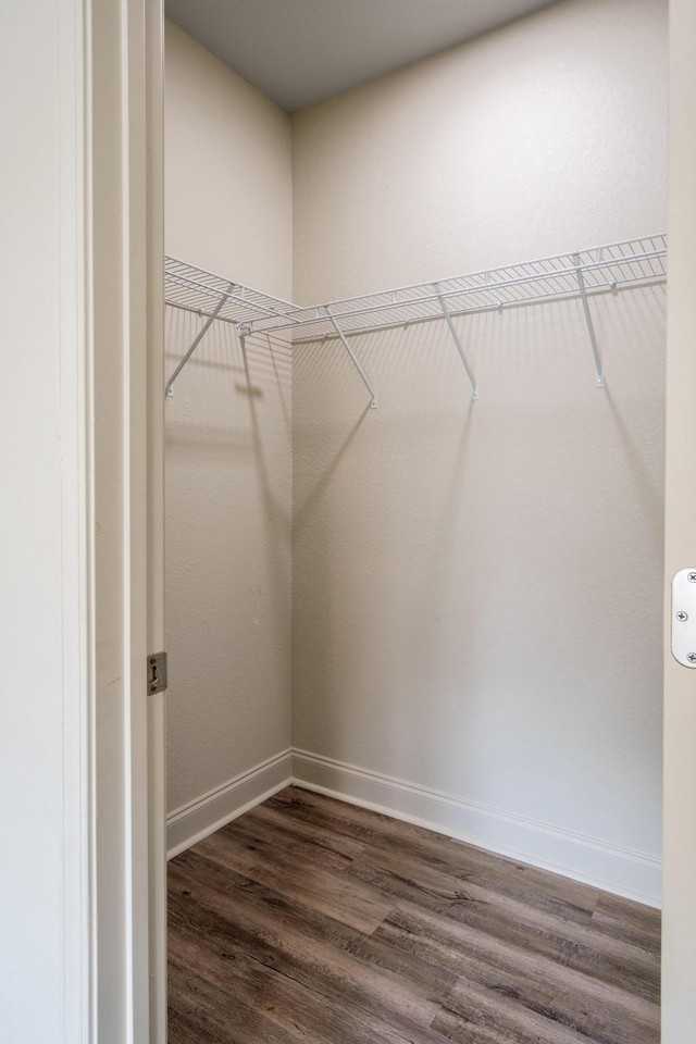 Platform Cairo - Photo 7 of 17