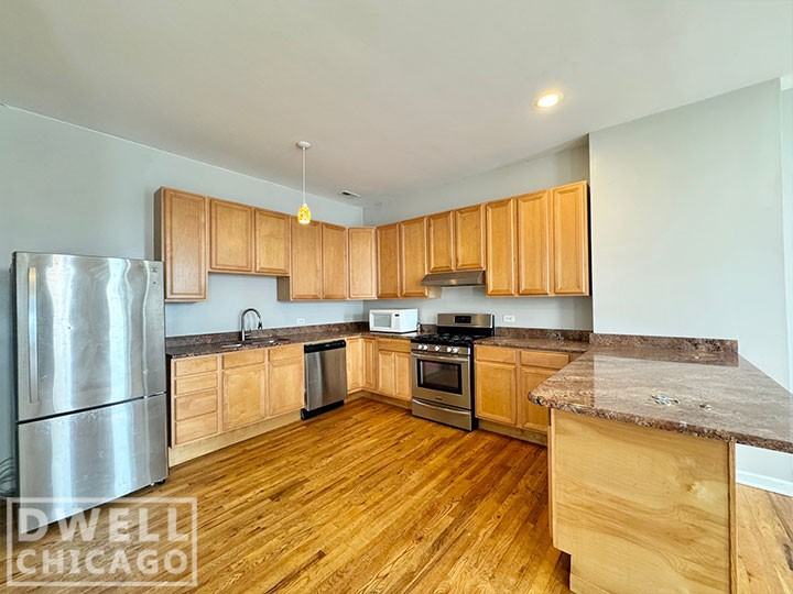 1903 S Blue Island Ave #3 - Photo 2 of 21