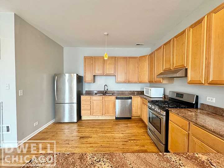 1903 S Blue Island Ave #3 - Photo 3 of 21