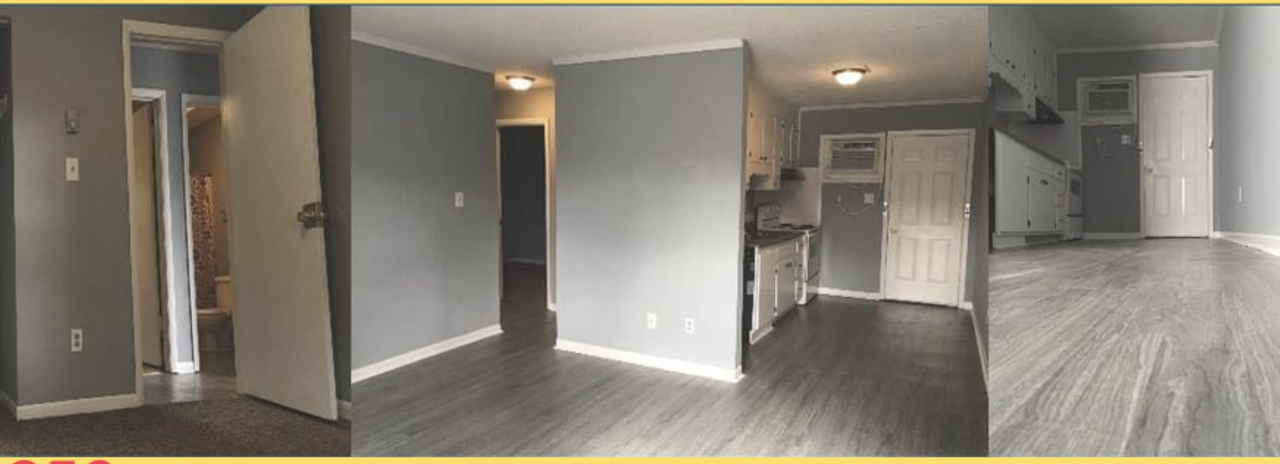 325 Lexington St #1 - Photo 3 of 3