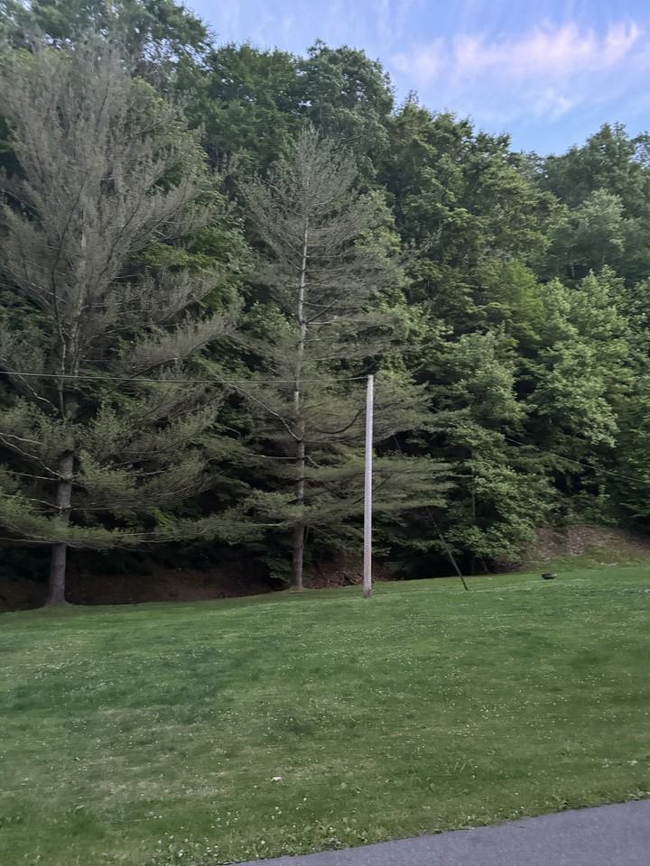 536 Whitley Ln #NA - Photo 5 of 18