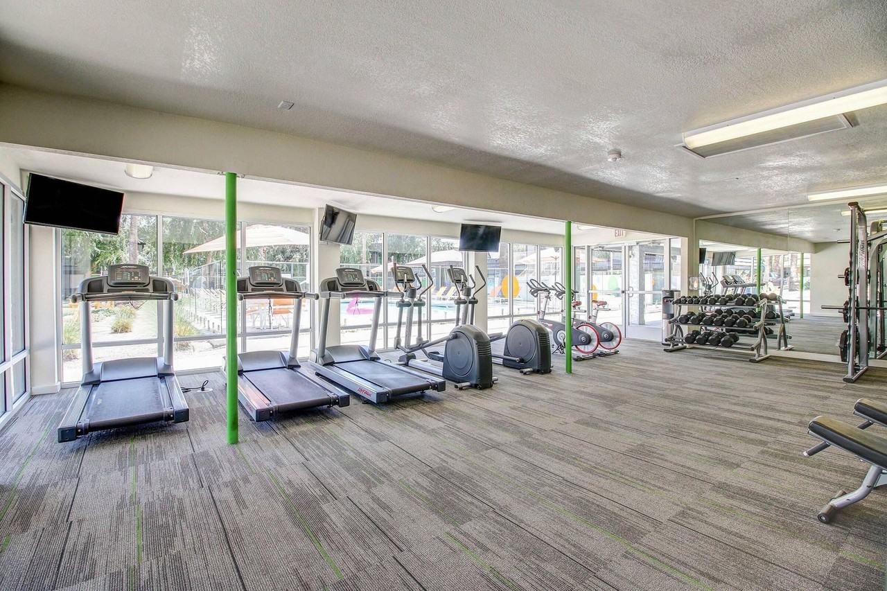 Studio 710 Apartments - Photo 3 of 33