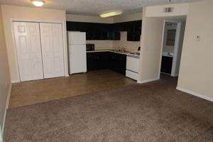 featured image of 4111 Blue Lick Ct