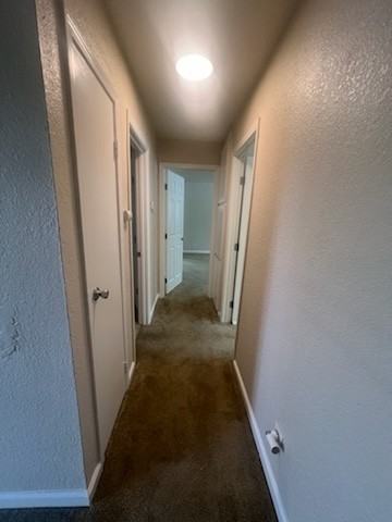 2219 Hillsborough Ct #2 - Photo 6 of 15