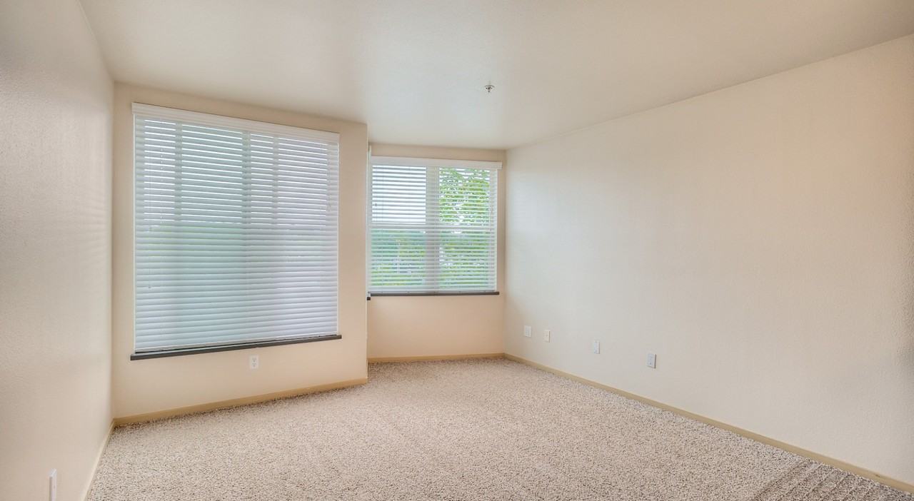 City North - Photo 5 of 39