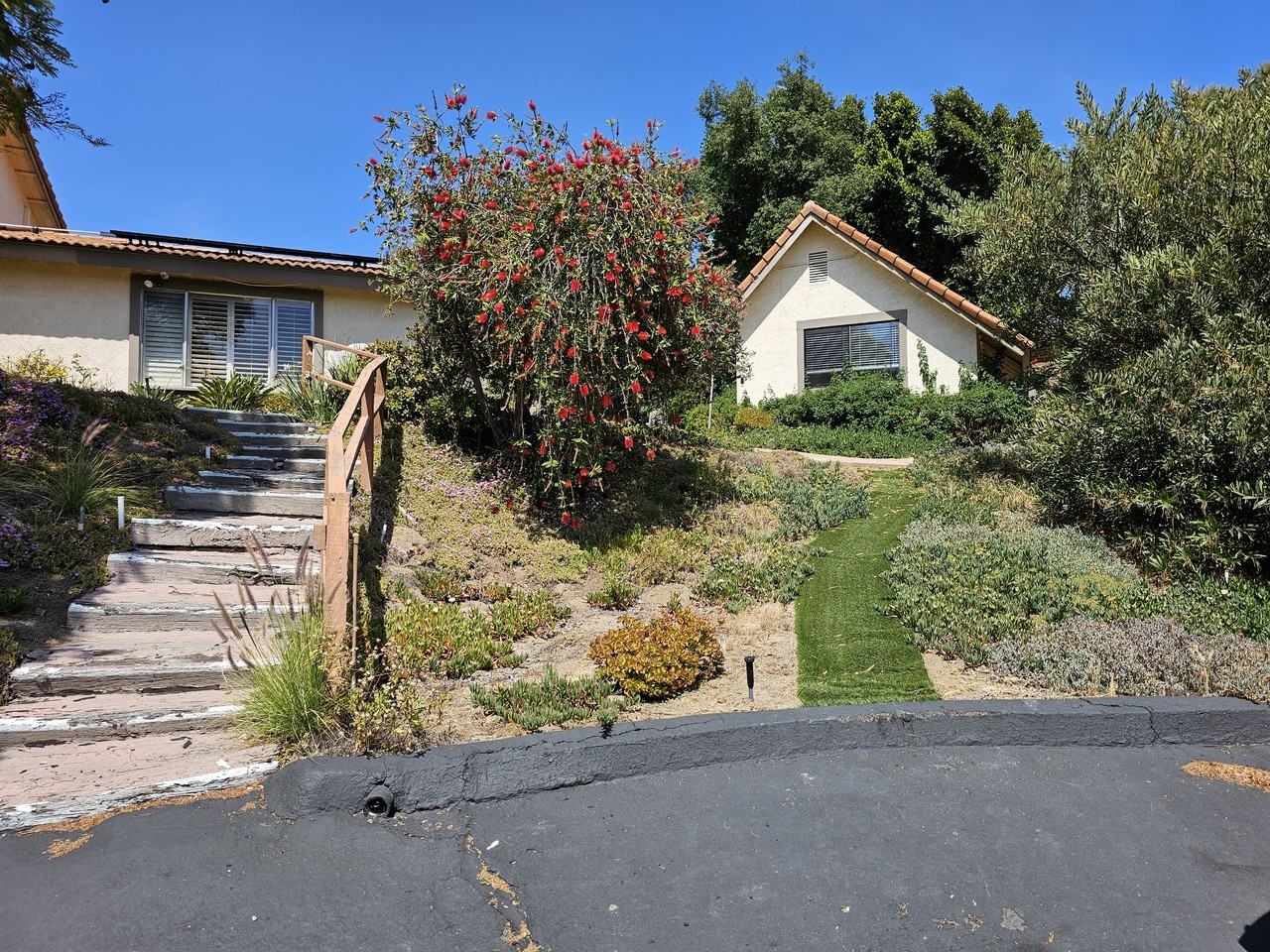 3245 Vista Cielo Ln #ADU - Photo 3 of 14