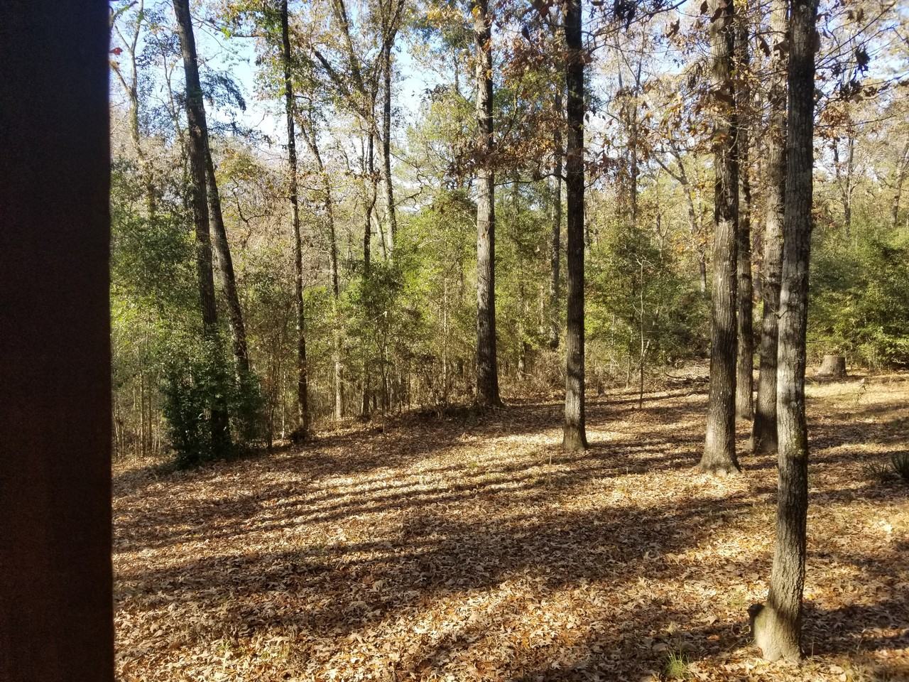 160 S Lake Dr #NA - Photo 3 of 19