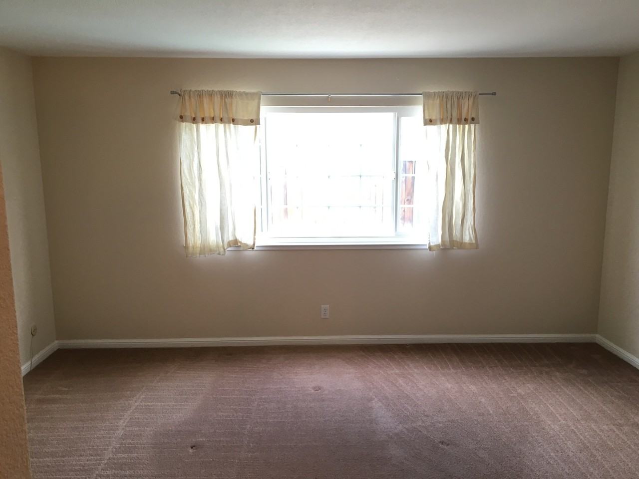 6302 Culvert Dr - Photo 6 of 14