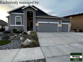 featured image of 6838 Black Saddle Dr