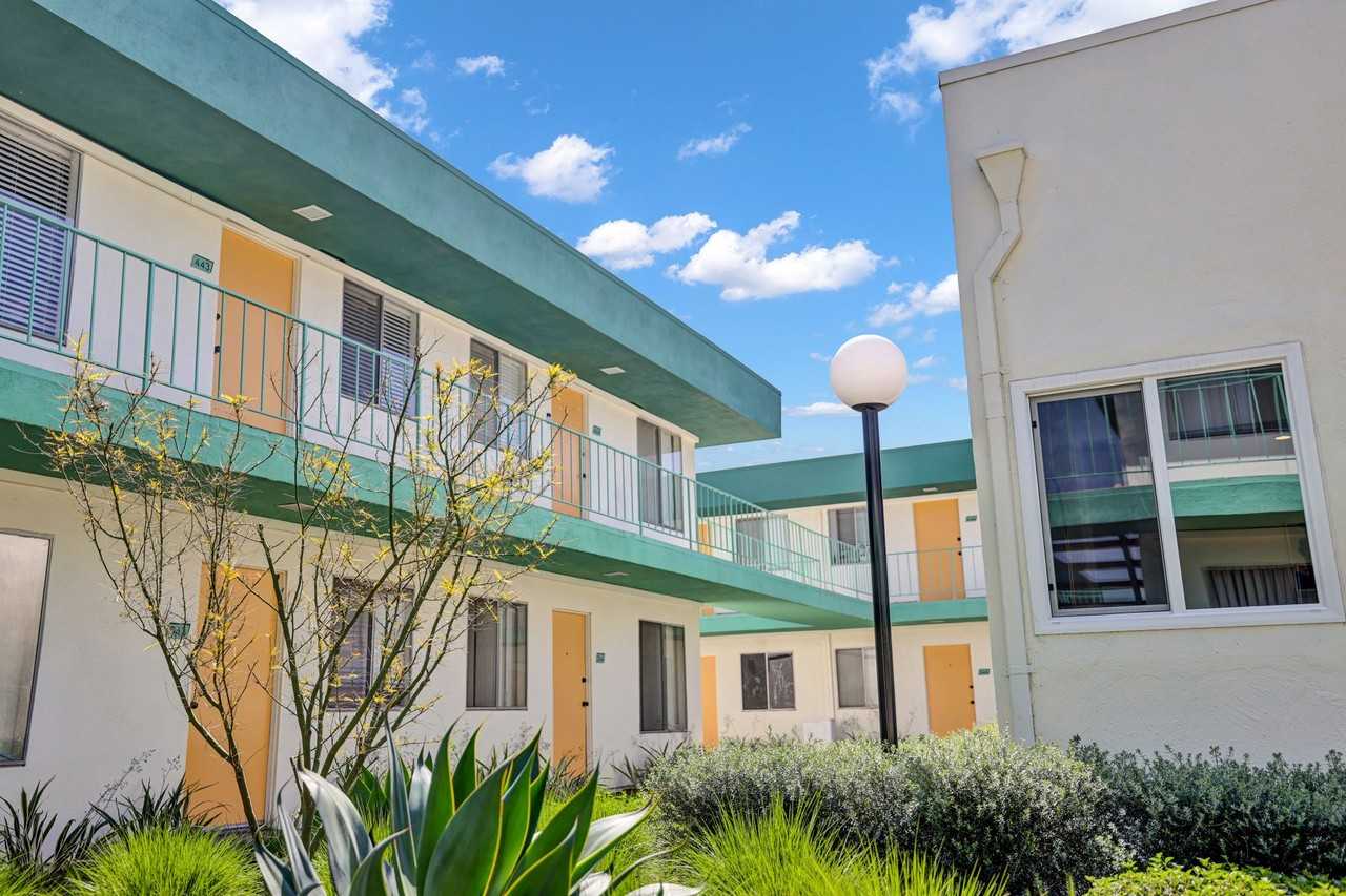 Paloma - Photo 3 of 12