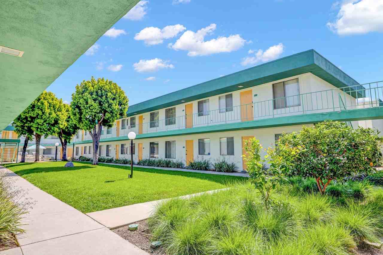 Paloma - Photo 4 of 12