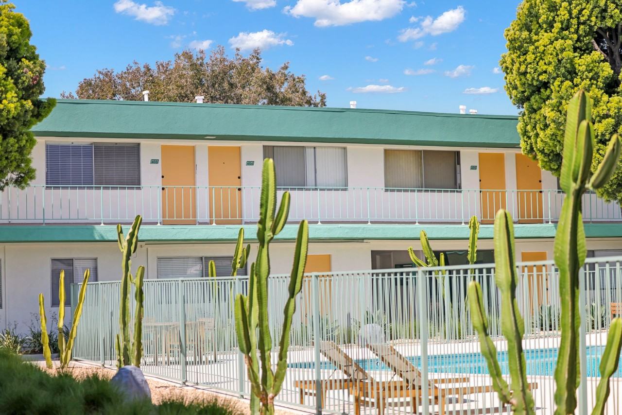 Paloma - Photo 5 of 12