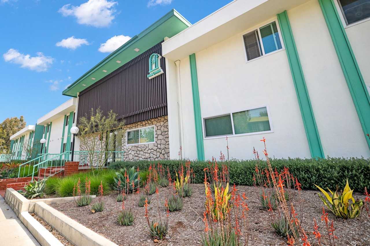 Paloma - Photo 2 of 12