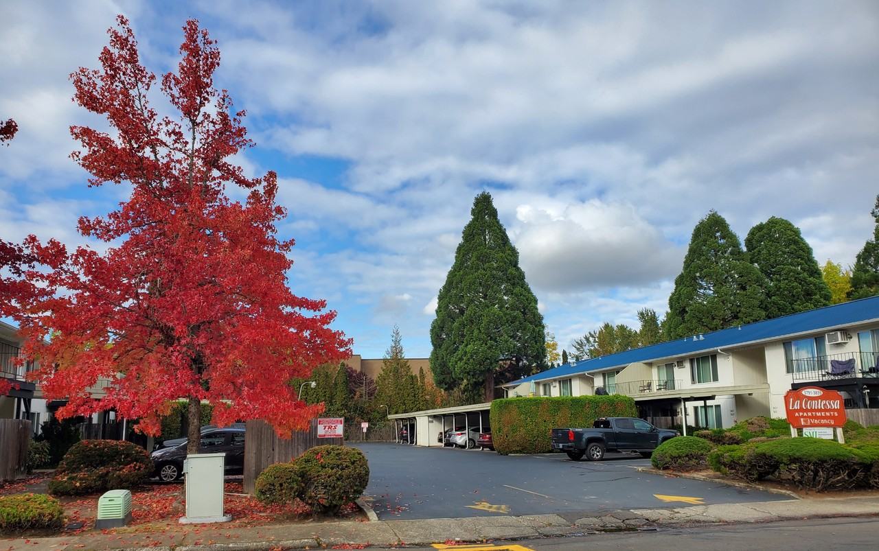 051-La Contessa - Photo 2 of 5