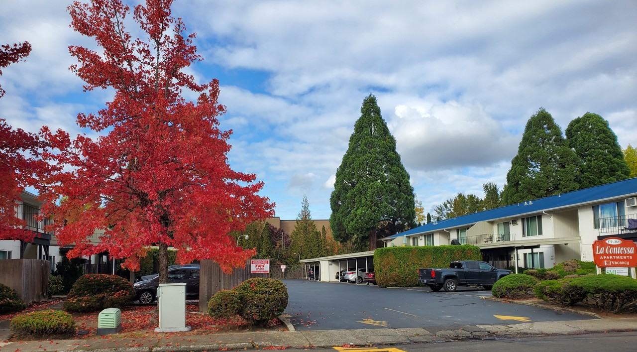 051-La Contessa - Photo 4 of 5