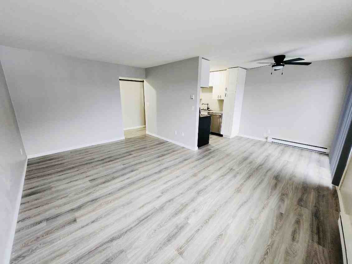 3505 38 Street #205 - Photo 4 of 15