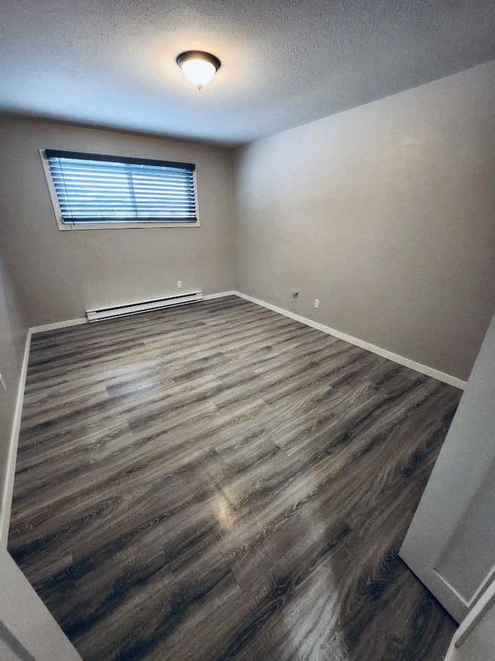 3505 38 Street #205 - Photo 6 of 15
