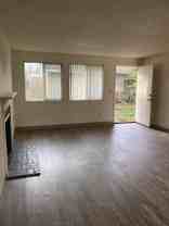 Glacier Lily - Photo 1 of 1