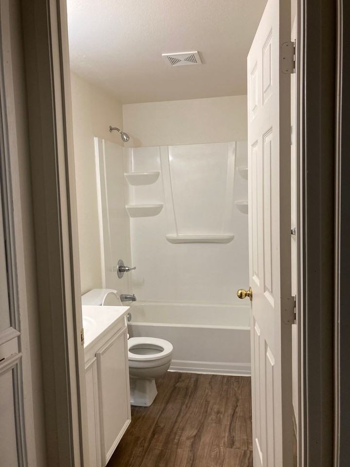 Glacier Lily - Photo 5 of 16