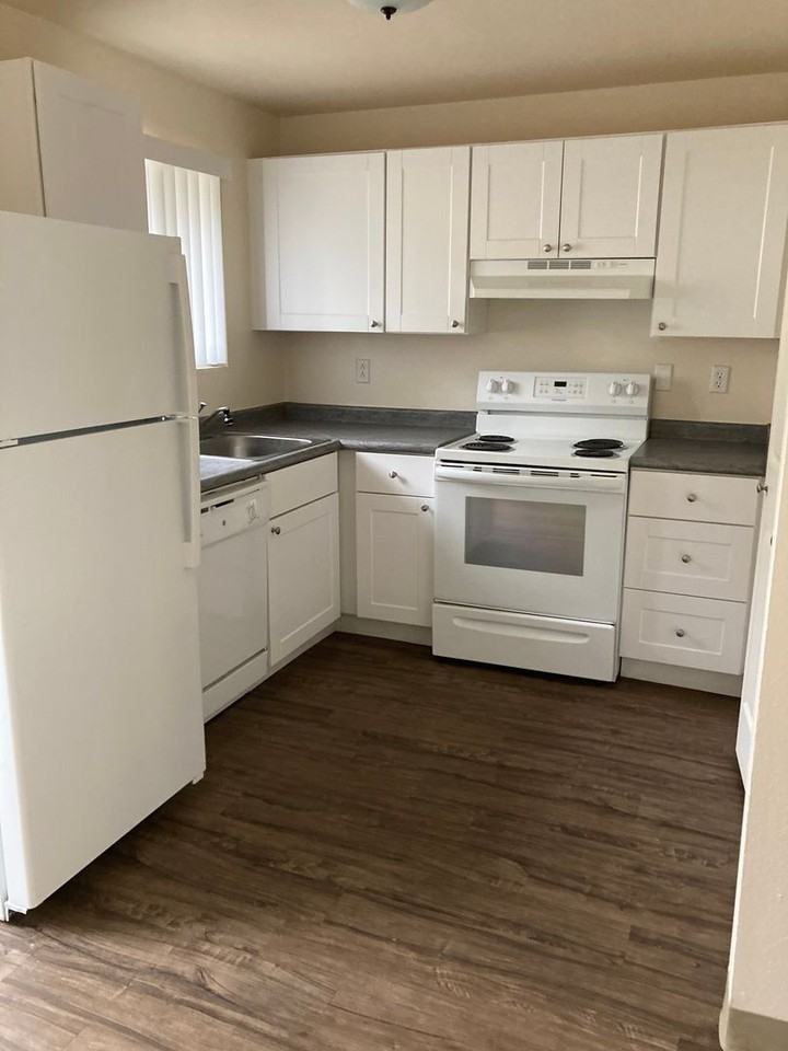 Glacier Lily - Photo 7 of 16