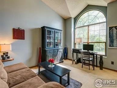 4201 Goldenridge Way - Photo 2 of 19